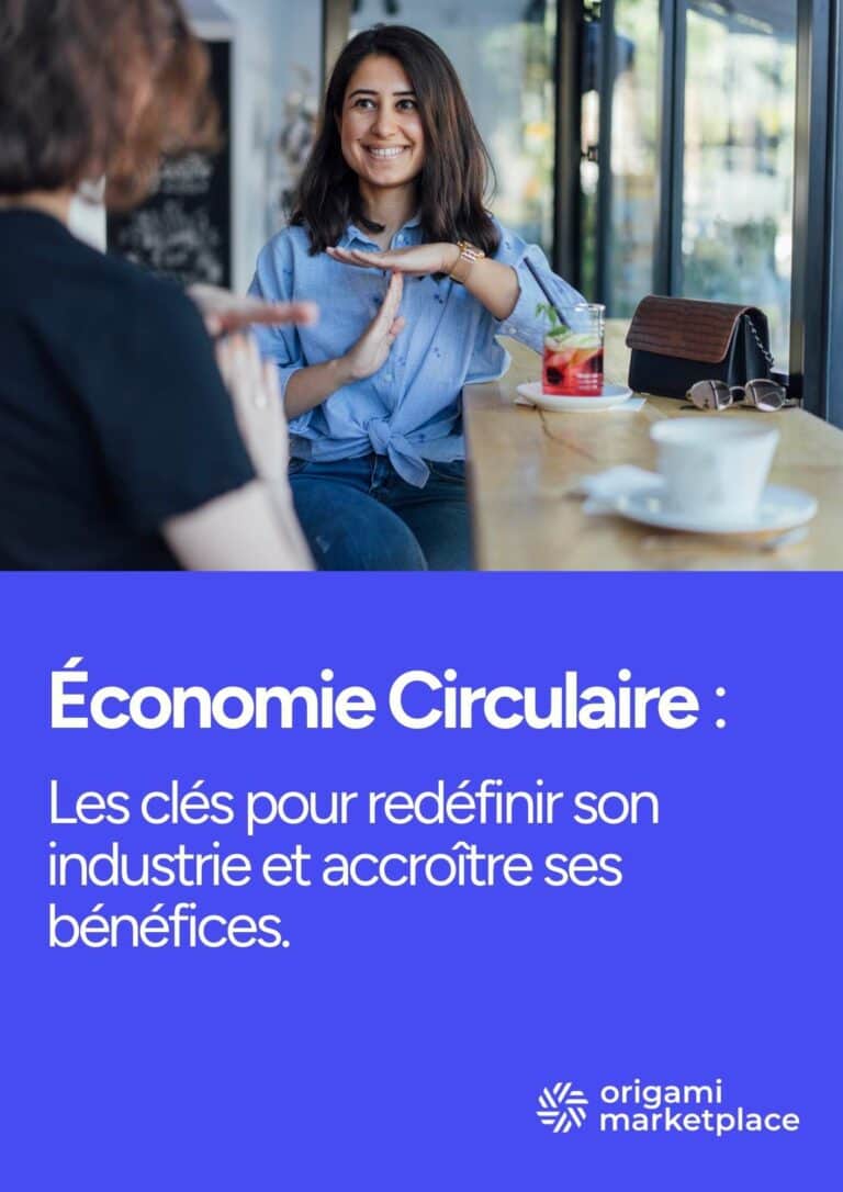 Page Ebook - Marketplace seconde main et economie circulaire